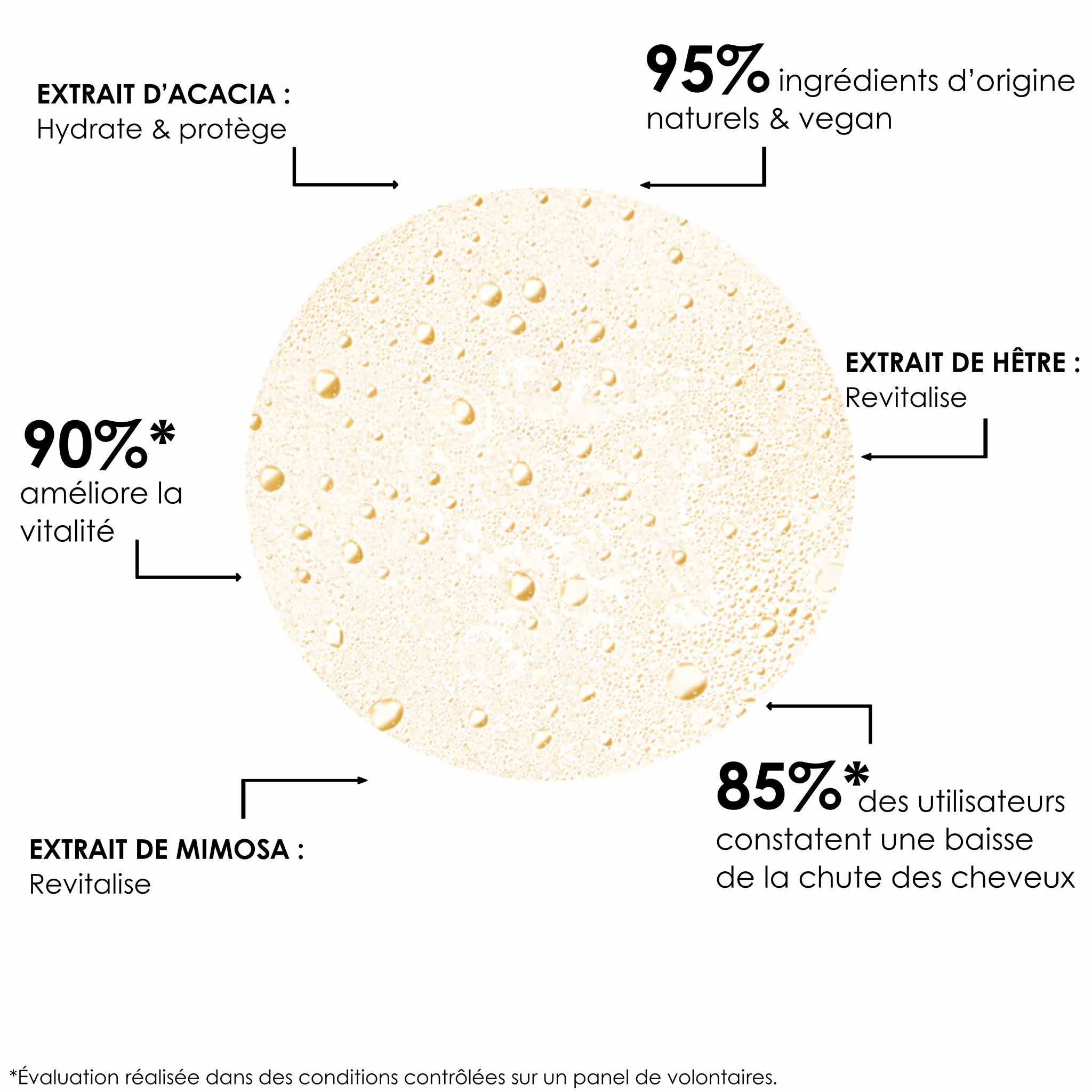 COMPLEXE ÉNERGISANT