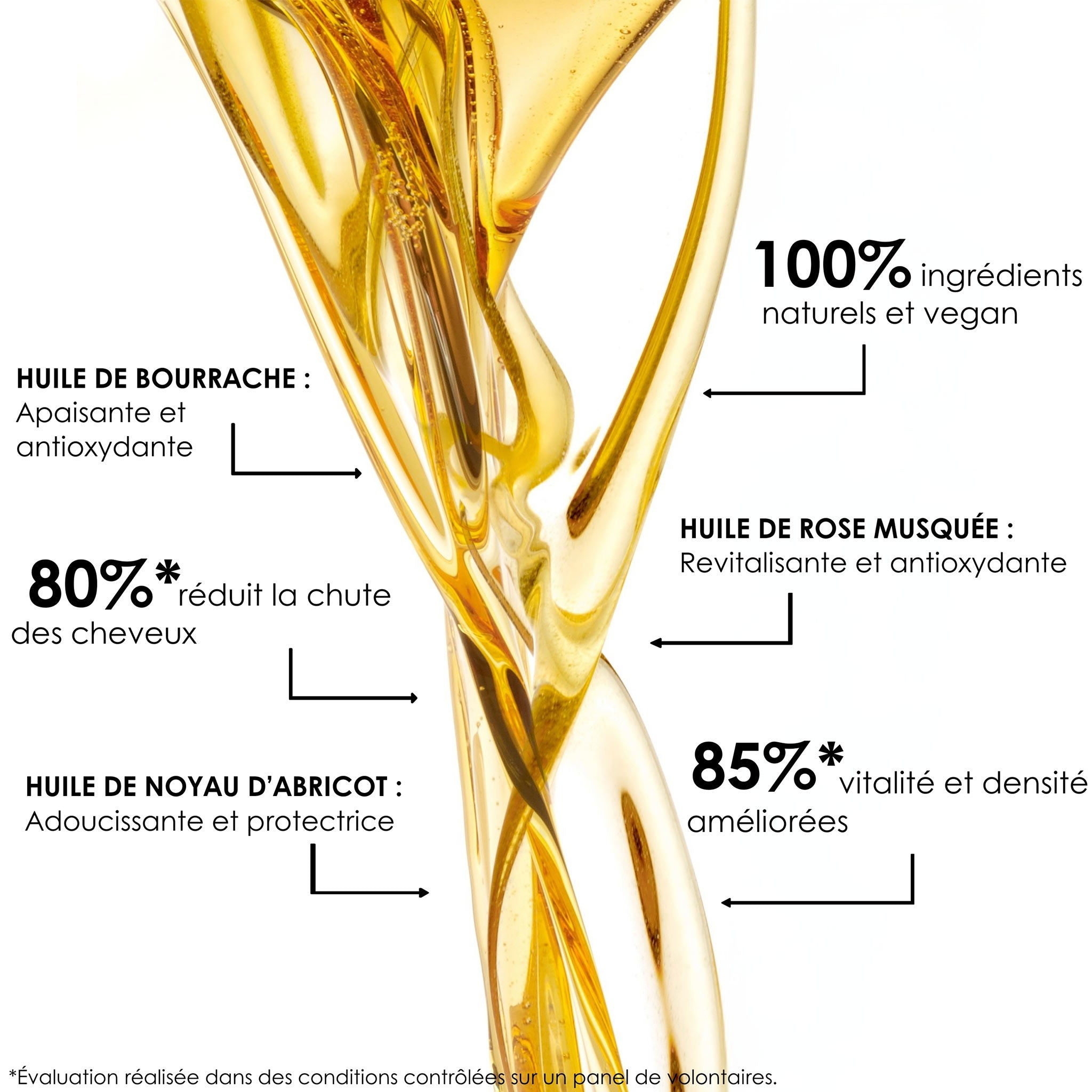 RÉGÉNÉRESCENCE NATURELLE